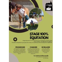 Stage 100% équitation