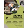 Stage 100% équitation