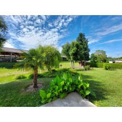 Colonie les ptits viking allie sensations et histoire de la Normandie