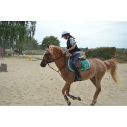Colonie 100% équitation