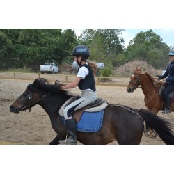 Colonie 100% équitation