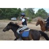 Colonie 100% équitation