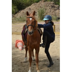 Colonie 100% équitation