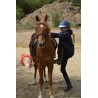 Colonie 100% équitation