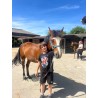 Colonie 100% équitation