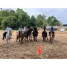 Colonie 100% équitation